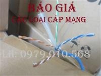 Báo giá cáp mạng cat5 AMP, cat6 VINACAP