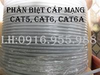 Phân biệt cáp Cat. 5, Cat. 5e, Cat. 6 và Cat. 6A