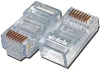 Nhân nối hạt mạng và bộ wallplate AMP âm tường