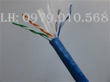 BELDEN Cáp mạng Cat6e UTP 4 đôi chính hãng BELDEN