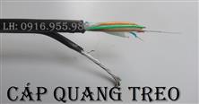 SACOM Cáp quang treo Singlemode 12fo