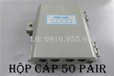 LONGSON Hộp cáp, hộp đấu cáp thoại 50 đôi (pair) 50x2  - Long Sơn